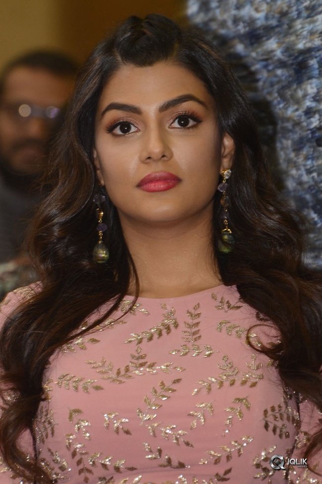 Anisha-Ambrose-At-Okkadu-Migiladu-Movie-Pre-Release-Function
